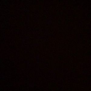 Meet your Posher, Paige